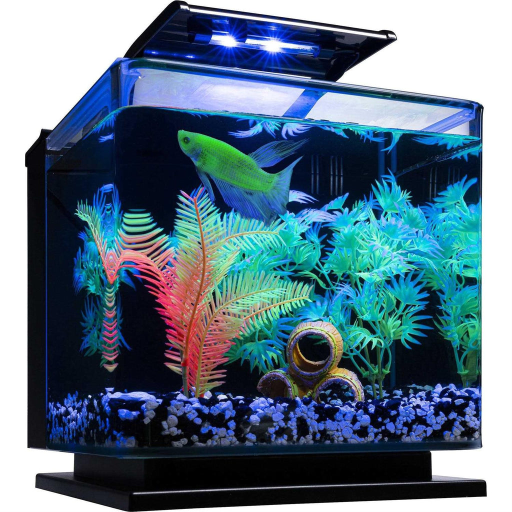 Betta Fish Aquarium Kit Q715