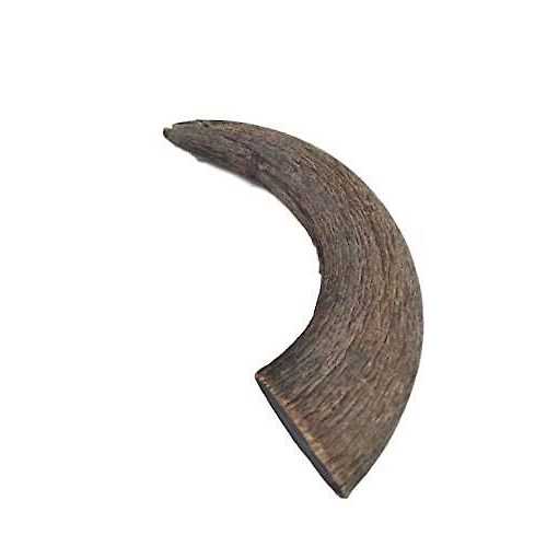 Natural Water Buffalo Horns Dog Treats G448