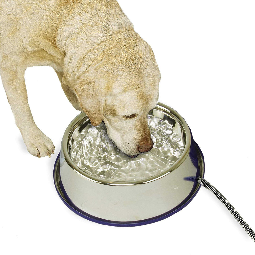 Stainless Steel Cat & Dog Bowl D771