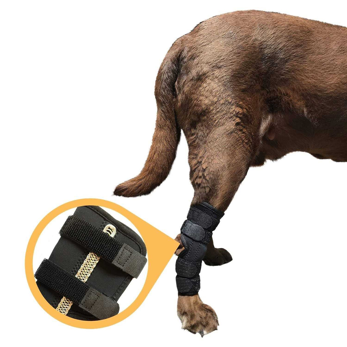 Dog Rear Leg Hock Joint Wrap Brace C772