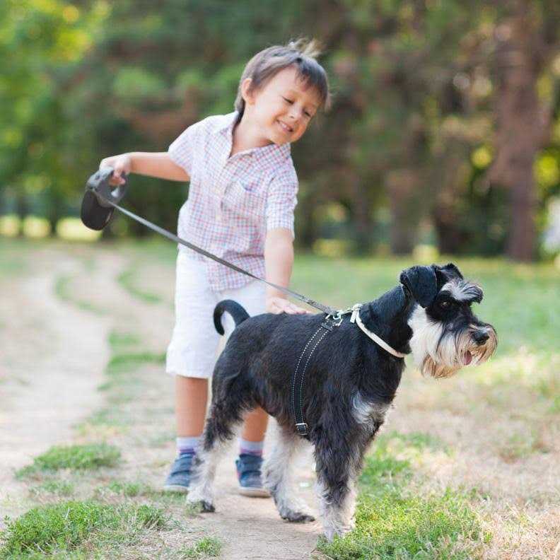Retractable Dog Leash C610014
