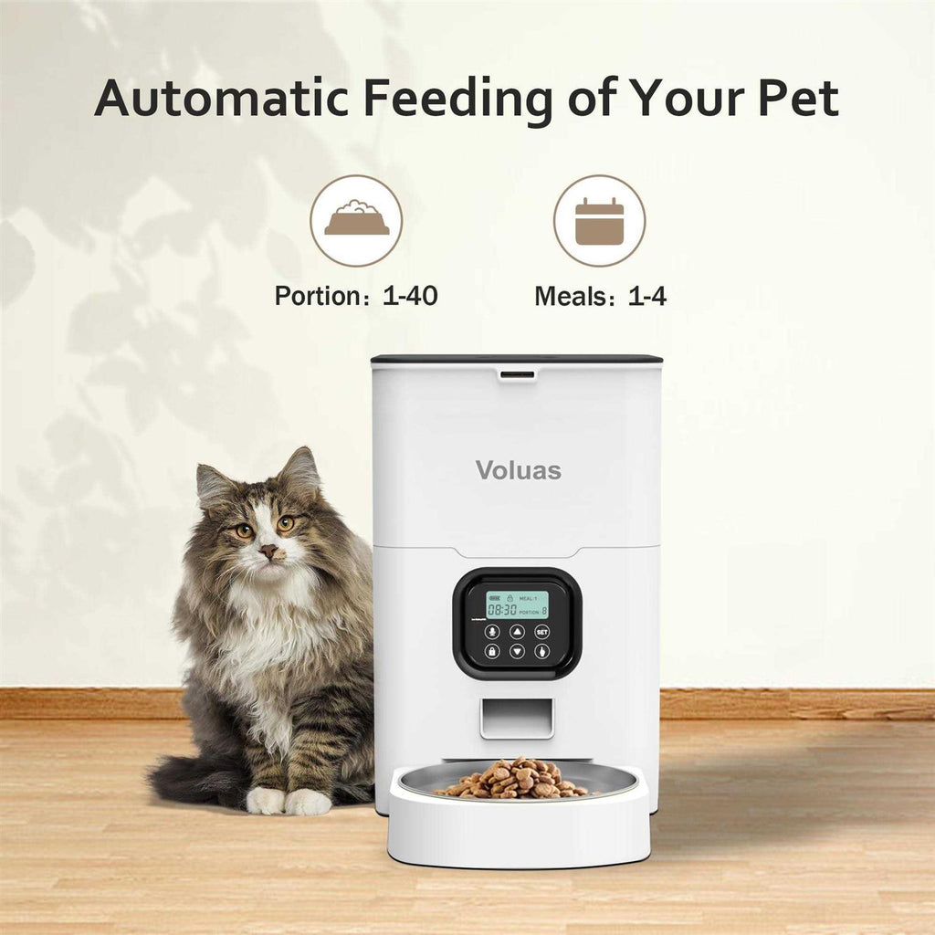 Automatic Pet Feeders K438872