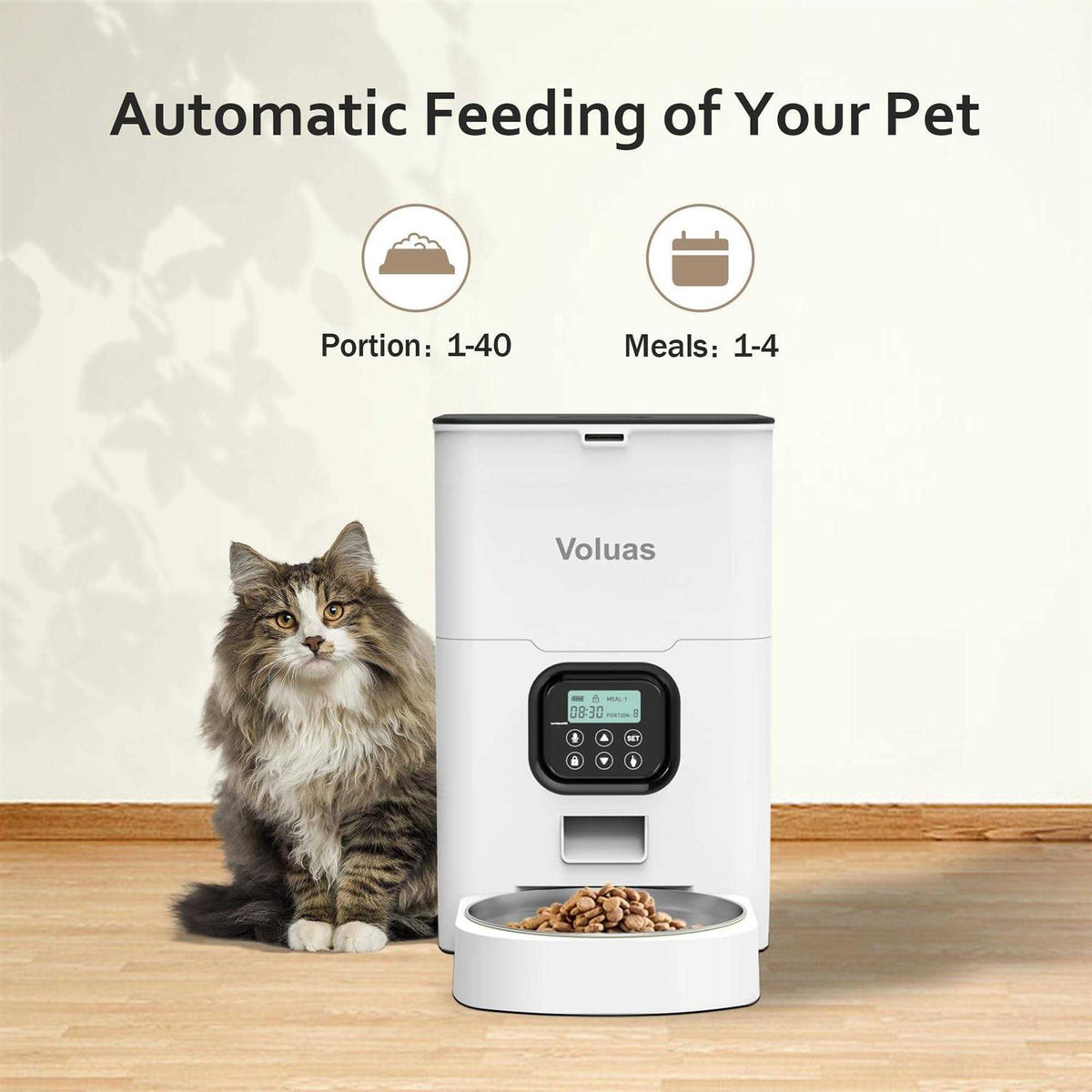 Automatic Pet Feeders K438872