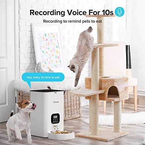 Automatic Pet Feeders K438872