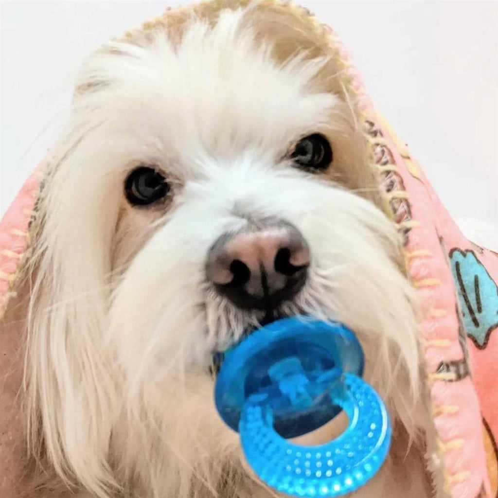 Paci Chew C5499