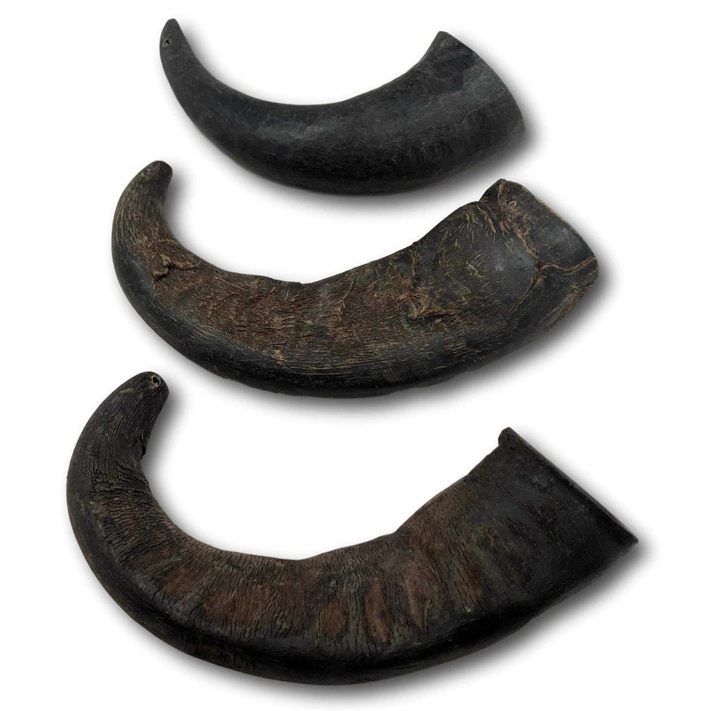 Natural Water Buffalo Horns Dog Treats G448