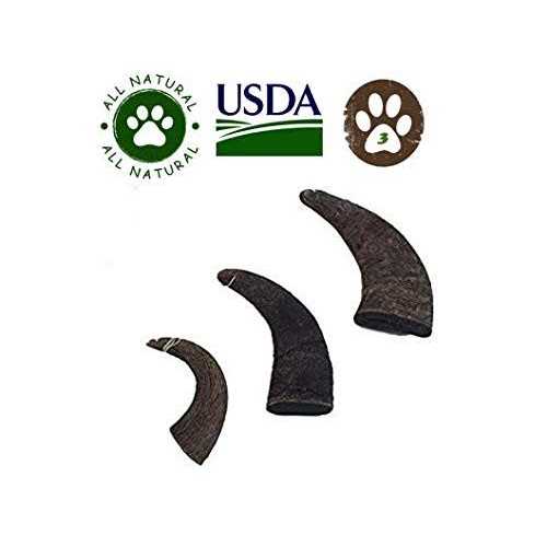 Natural Water Buffalo Horns Dog Treats G448