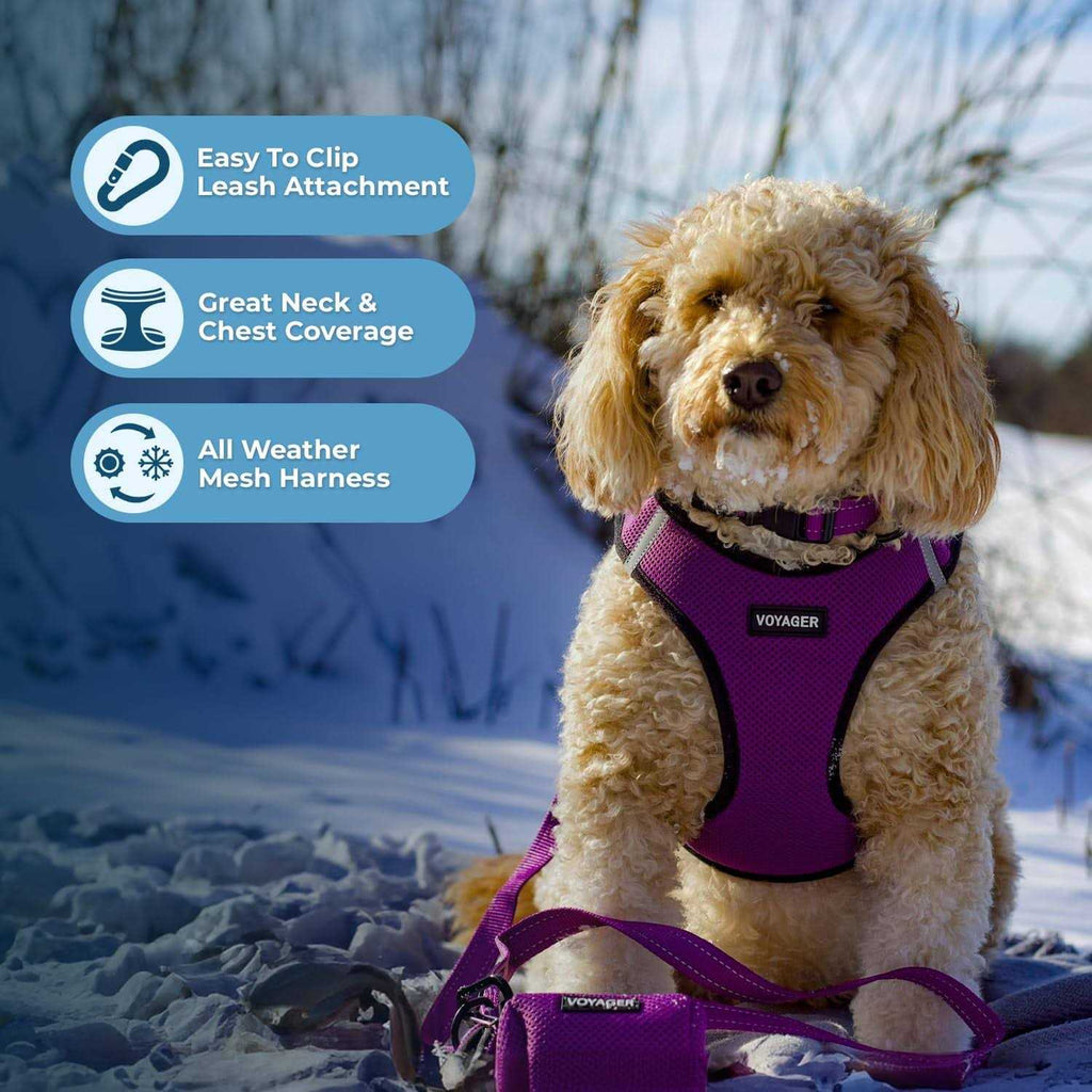 Step-in Air Mesh Dog Harness N7103