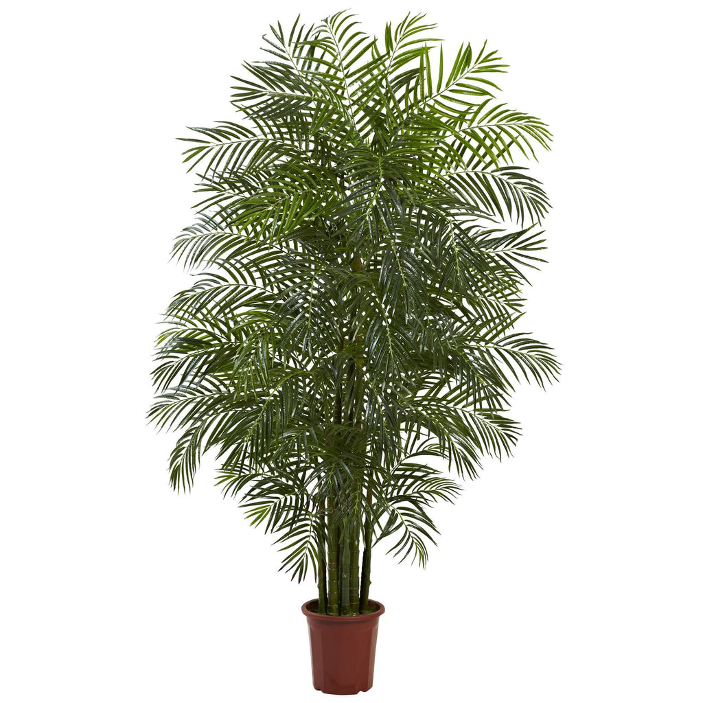 3-Foot Yucca Tree X39675