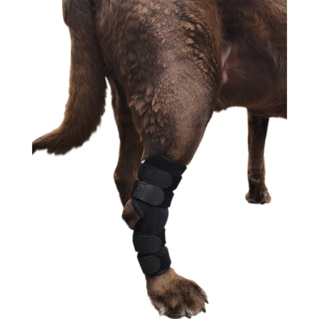 Dog Rear Leg Hock Joint Wrap Brace C772