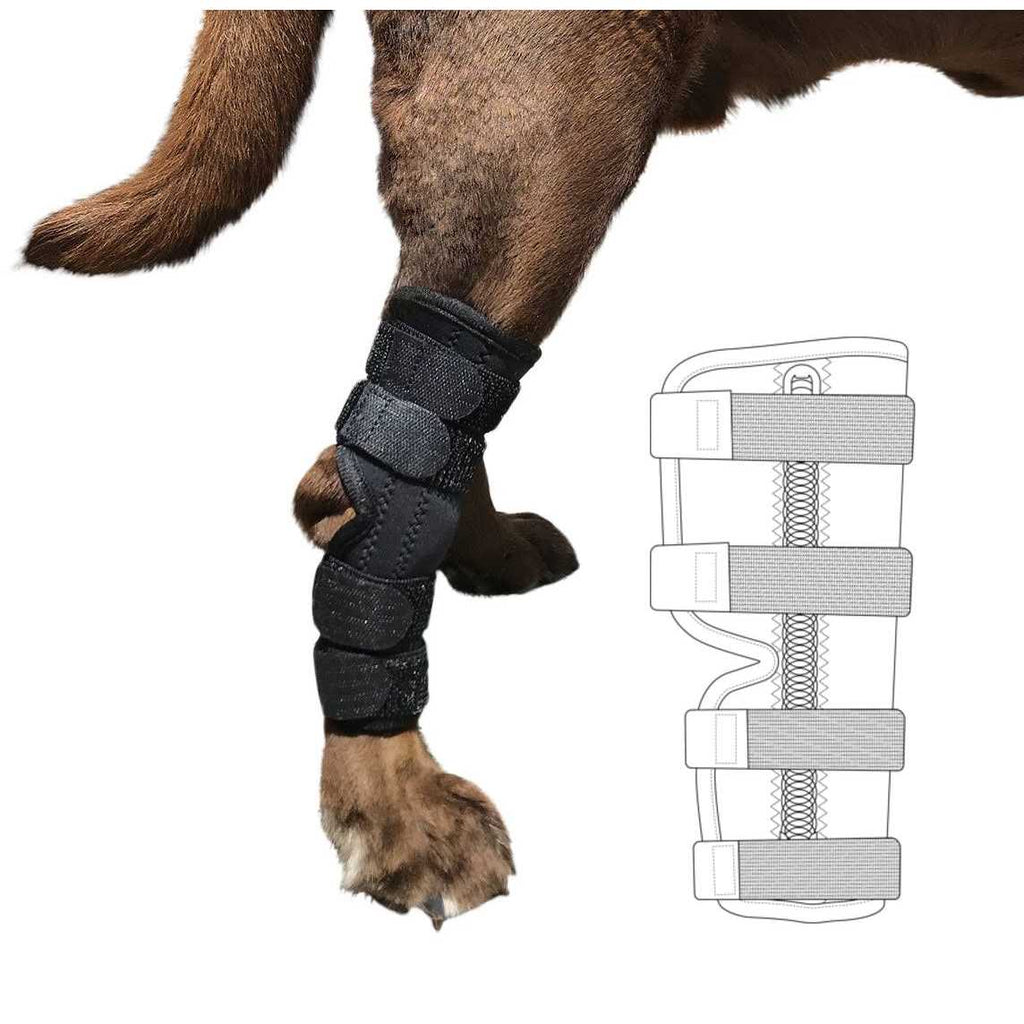 Dog Rear Leg Hock Joint Wrap Brace C772
