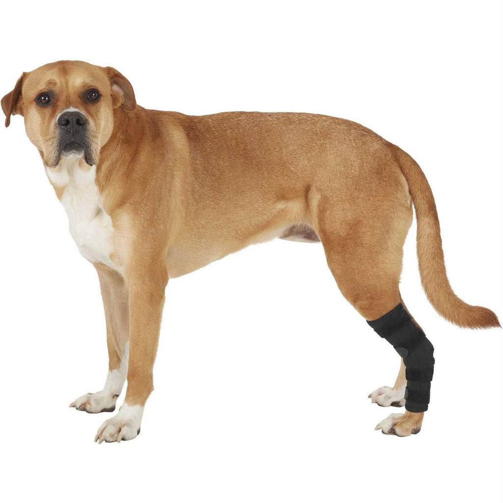 Dog Rear Leg Hock Joint Wrap Brace C772